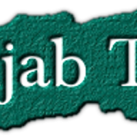 punjabtetin