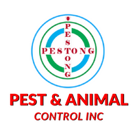 PestongPestControls