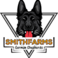 smithfarmsgermanshepherds