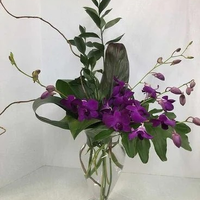 donsownflowers1