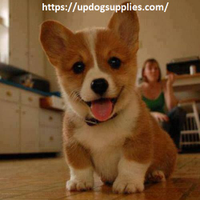 indoordoggate2