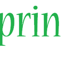 Teespringpro