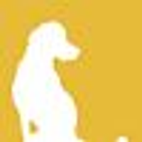 yellowdogPG