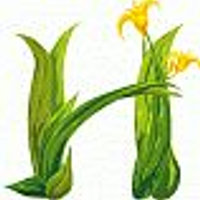 hareeshsoorya