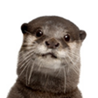 OllieOtter