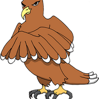 Mbradshaw