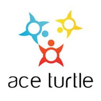 Aceturtle
